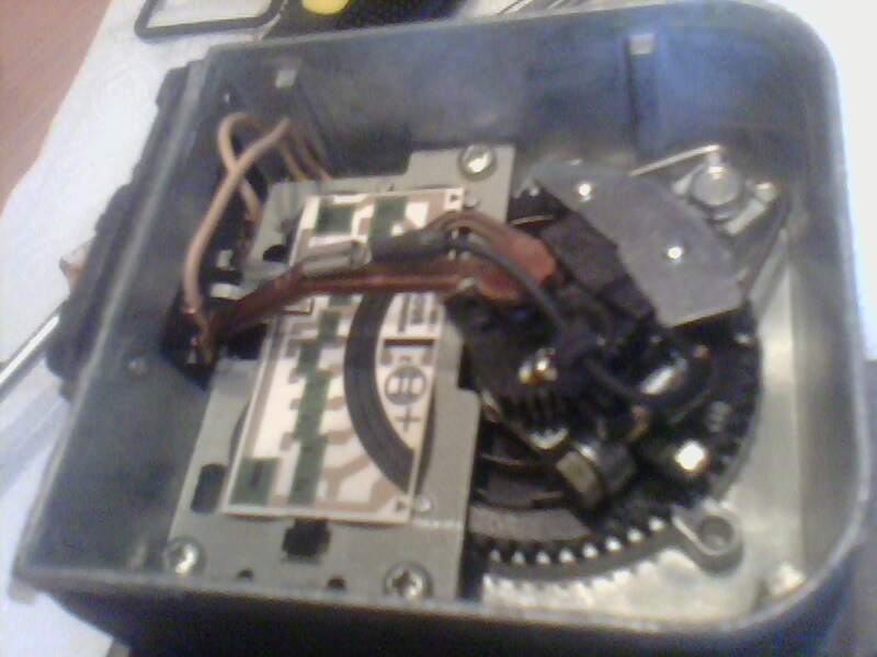 picture_00074.jpg