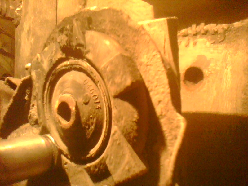picture_00067.jpg