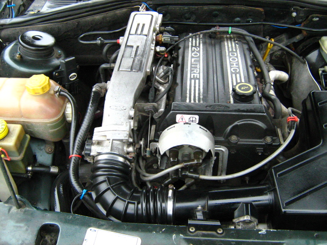 Копия IMG_0194.JPG