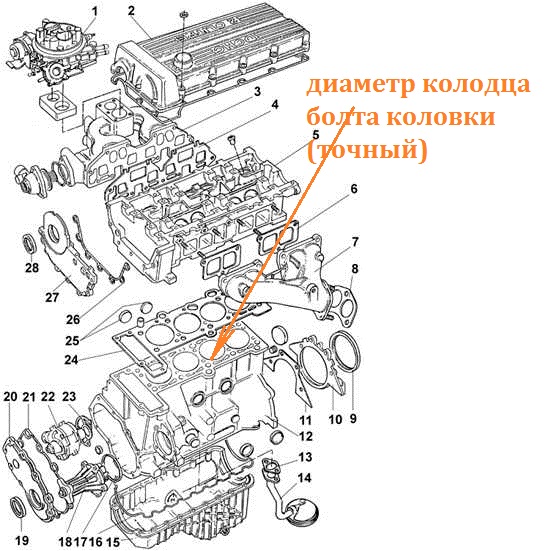 foto2-31r.jpg
