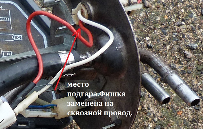 P1000906.JPG