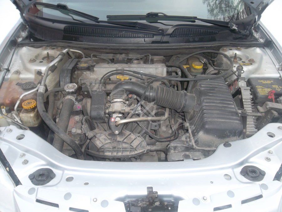 13f82c66.jpg