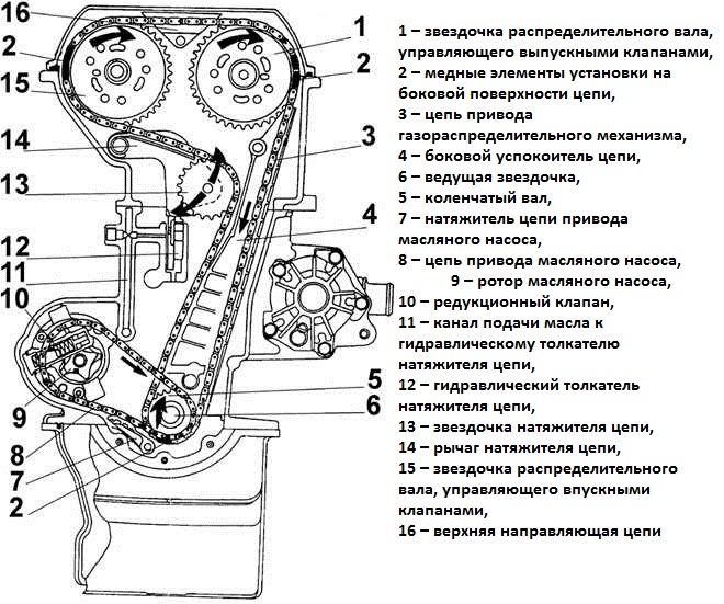 ГРМ DOHC (2).jpg