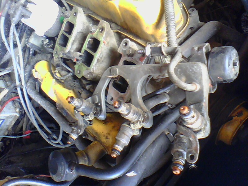 picture_00088.jpg