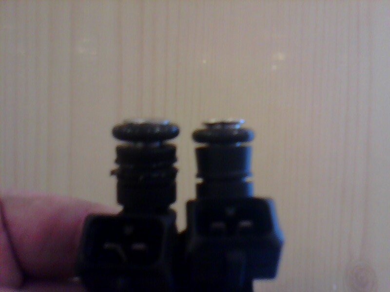 picture_00091.jpg