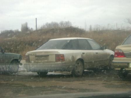 Изображение 307.jpg
