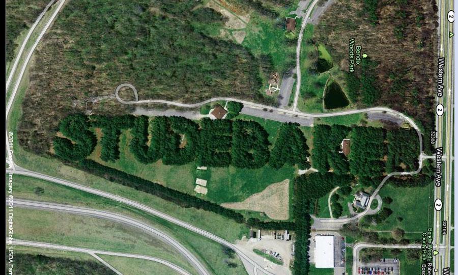 Studebaker-Trees.jpg