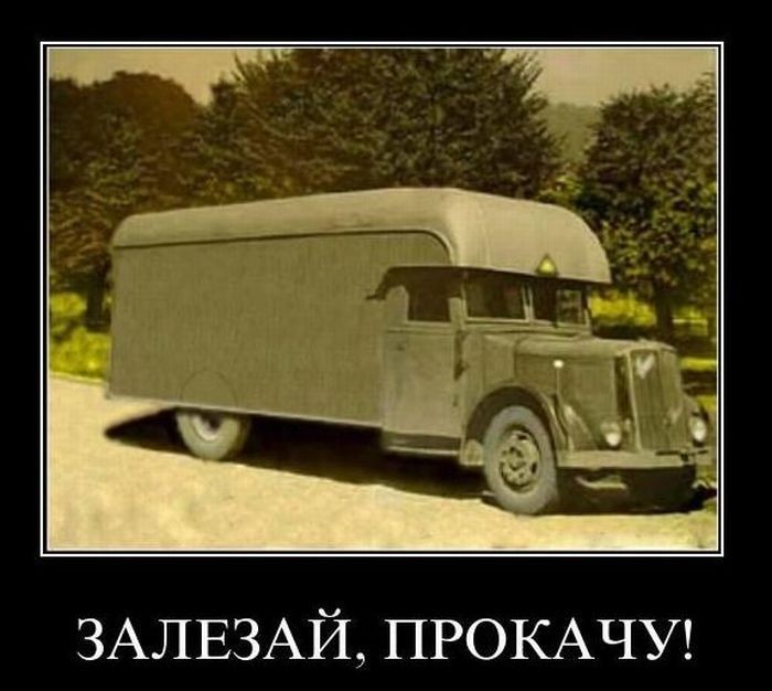 1037.jpg