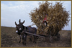 moldova_1.jpg
