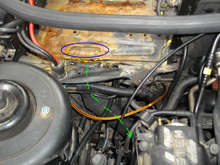 Новый дренаж 2.JPG