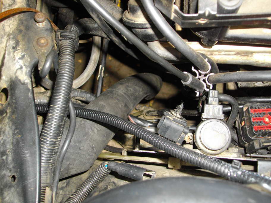 Новый дренаж 3.JPG