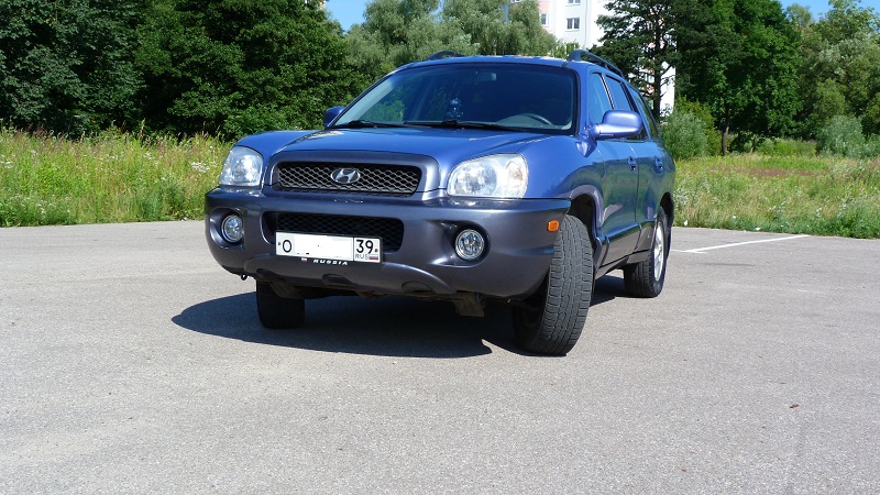 P1000626.jpg