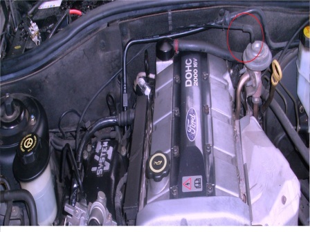 sl371004-59445.JPG