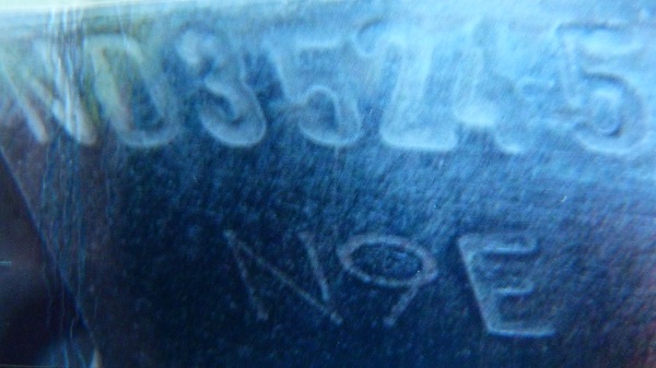 P1000879.JPG