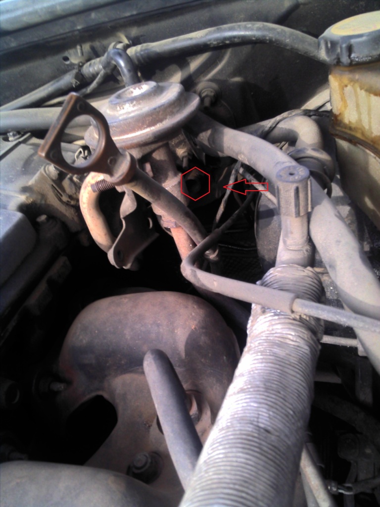 IMG_20130218_112652.jpg