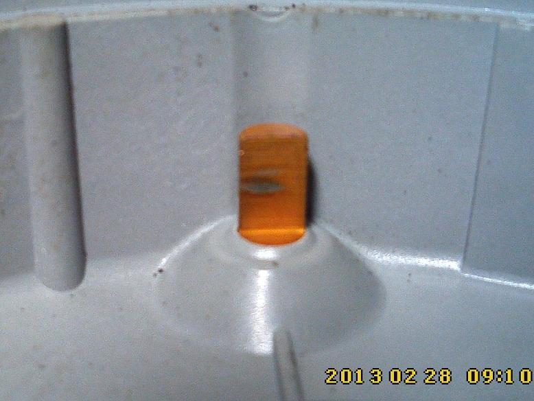 IMG0431b.jpg