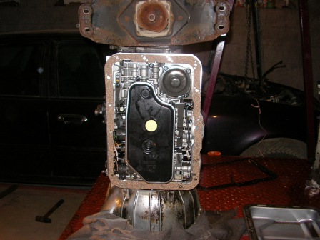 SANY0197.JPG