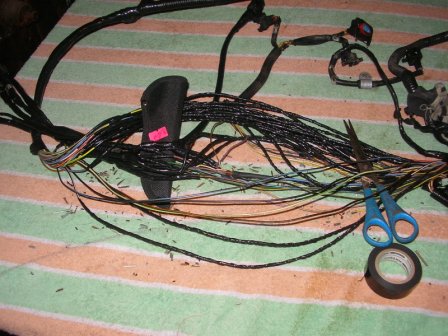 SANY0161.JPG