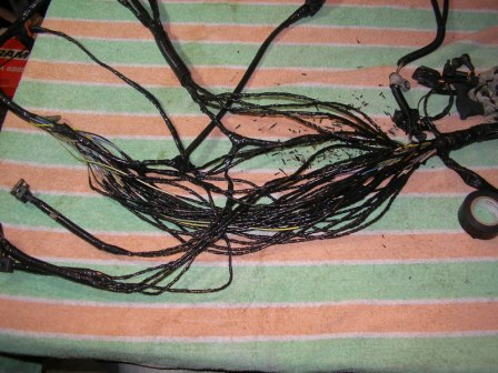 SANY0166.JPG