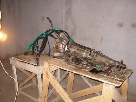 SANY0211.JPG