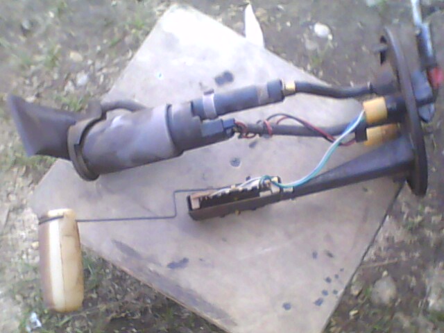 IMG0036A.jpg