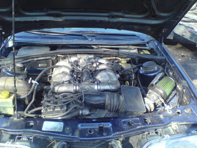 DSC00694.JPG