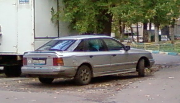 SP_A0559.jpg