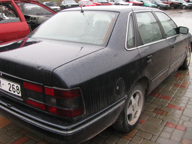 IMG_0181_resize.JPG