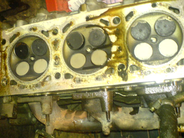 DSC00848.JPG