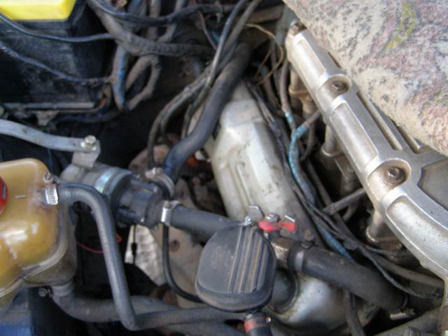 P1286562f.jpg
