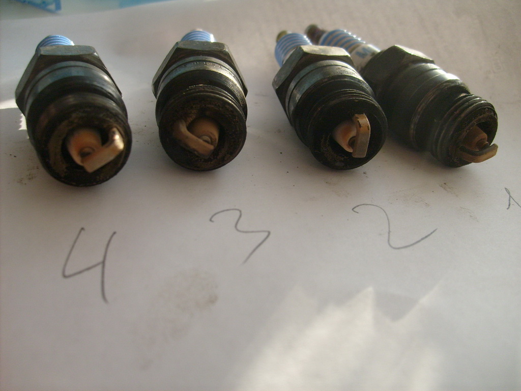 S6300261.JPG