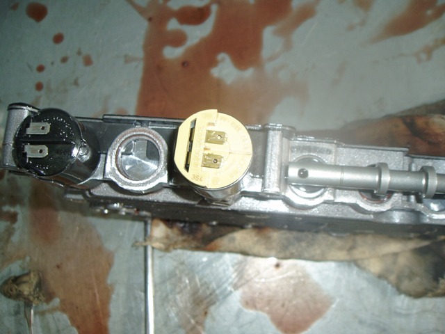 P1010242.JPG