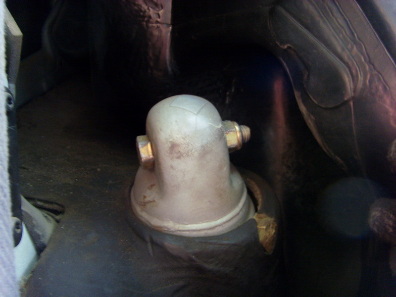 SI859424.JPG