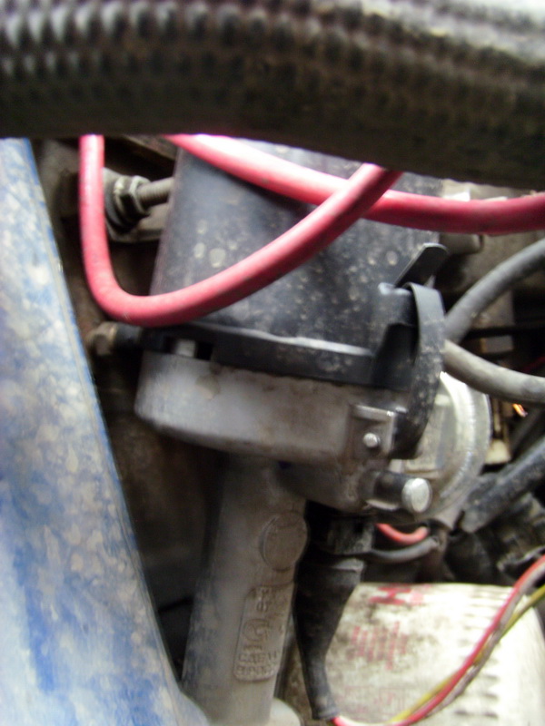 SI859925.JPG