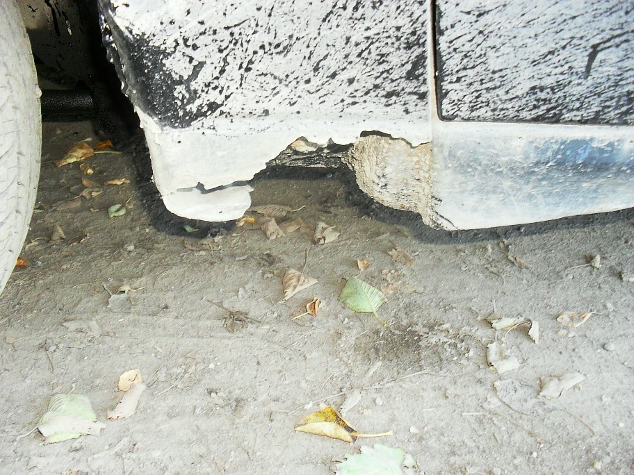 Resize of SDC11012.JPG