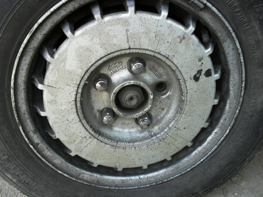 Resize of SDC11019.JPG