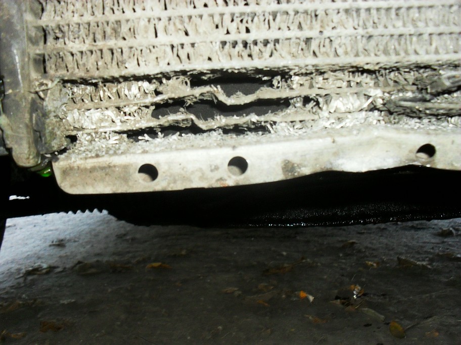 Resize of SDC11032.JPG