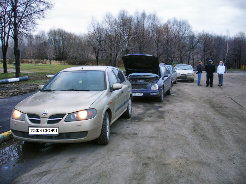 скорпы.jpg