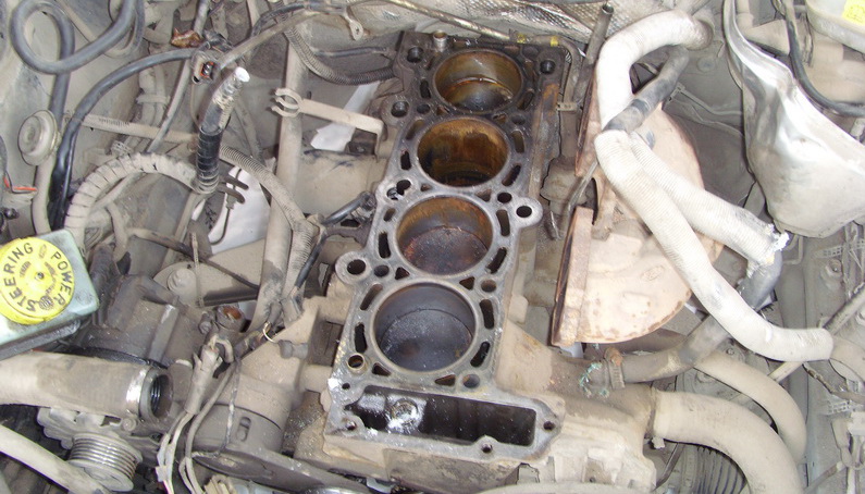 SI850469.JPG