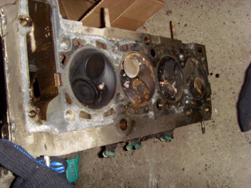 SI850471.JPG