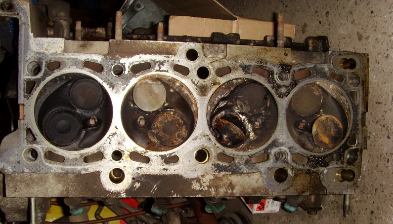 SI850472.JPG