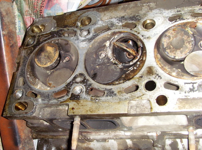 SI850473.JPG