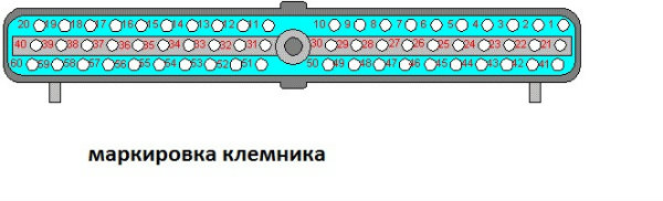 радикал.jpg
