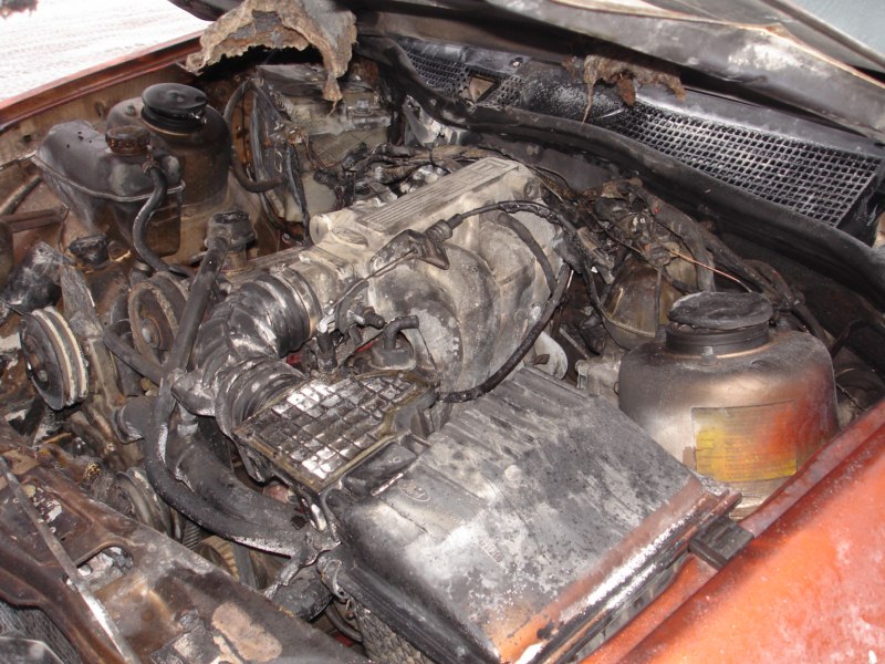DSC02282 [800x600].jpg