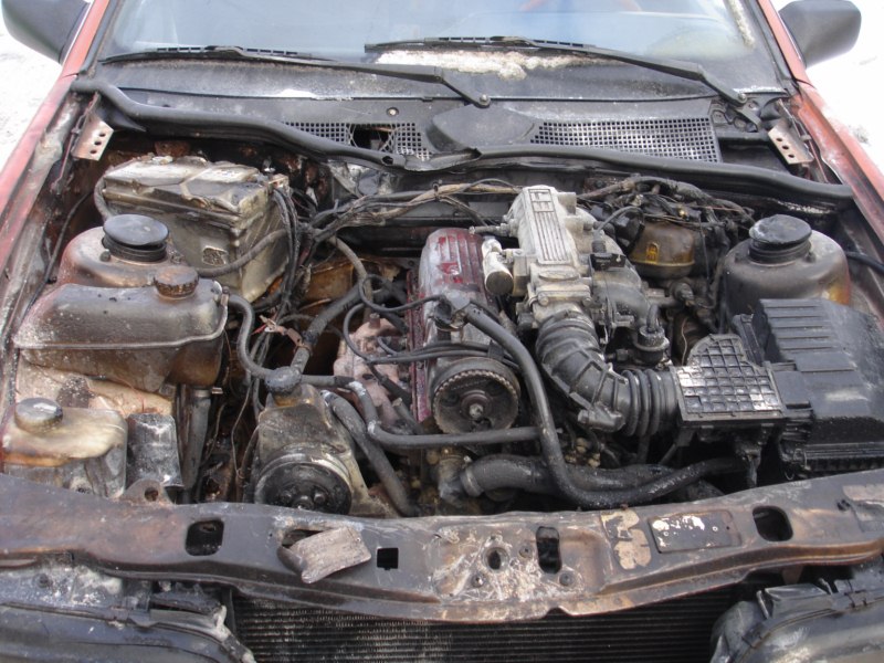 DSC02292 [800x600].jpg