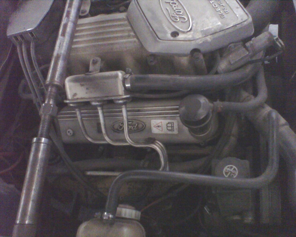 picture_00084.jpg