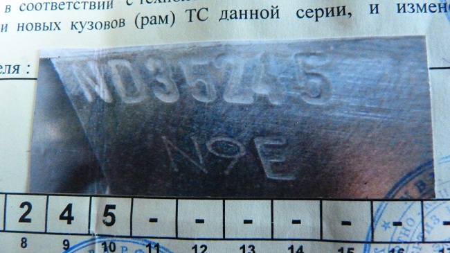 P1000878.jpg