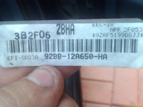 IMAG0193.jpg