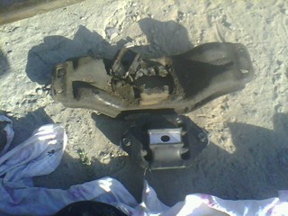 picture_00028.jpg