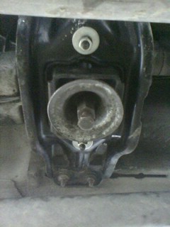 picture_00036.jpg